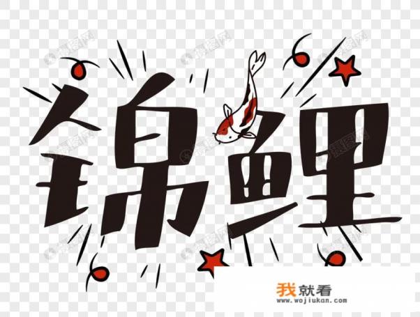 鲫鱼和锦鲤有什么区别? 鲫鱼和锦鲤有什么区别?