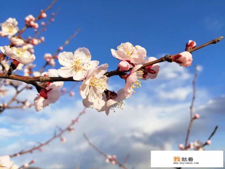 坝上草原和闪电湖哪个好玩? 坝上草原和闪电湖哪个好玩?