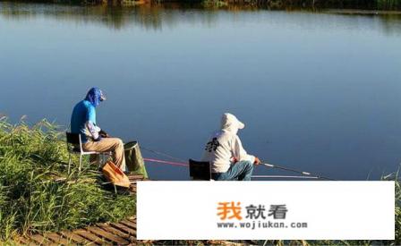 钓鱼人应该都知道的“泥鳅党”如果不用泥鳅打窝，只用泥鳅垂钓，还行吗？