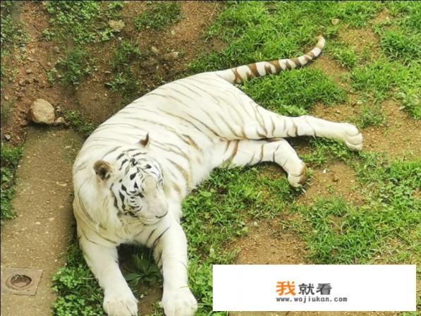 十月份烟台龙口免费旅游景点? 十月份烟台龙口免费旅游景点?