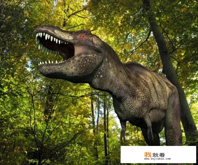 有什么好玩的恐龙游戏游戏? 有什么好玩的恐龙游戏游戏?