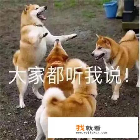 如果永久禁停网络游戏,对你会有影响吗? 如果永久禁停网络游戏,对你会有影响吗?