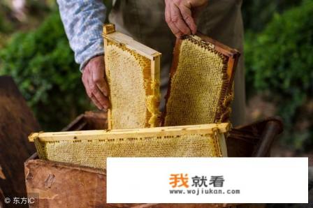 黑蜂会主动攻击人吗？