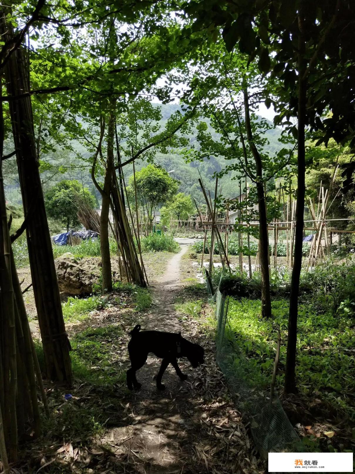 成都五一节自驾,两天打来回的地方好玩有推荐的吗? 成都五一节自驾,两天打来回的地方好玩有推荐的吗?