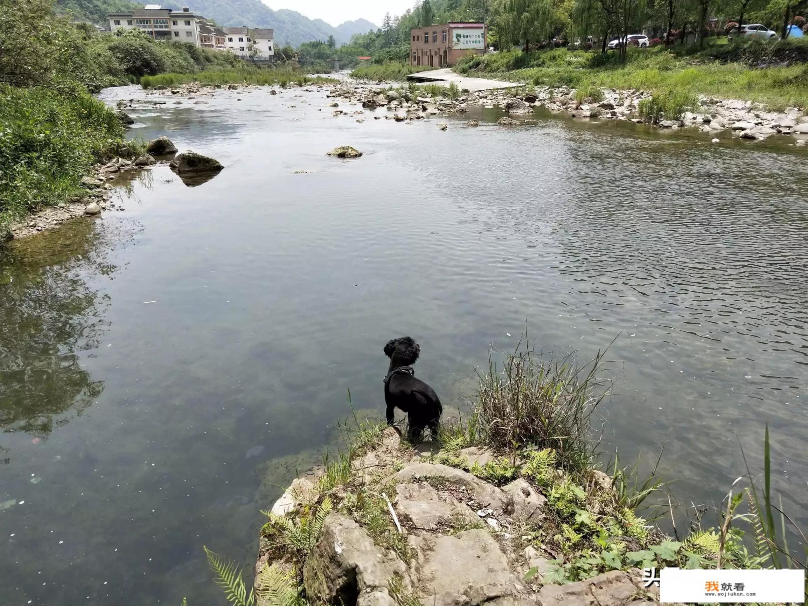 成都五一节自驾,两天打来回的地方好玩有推荐的吗? 成都五一节自驾,两天打来回的地方好玩有推荐的吗?