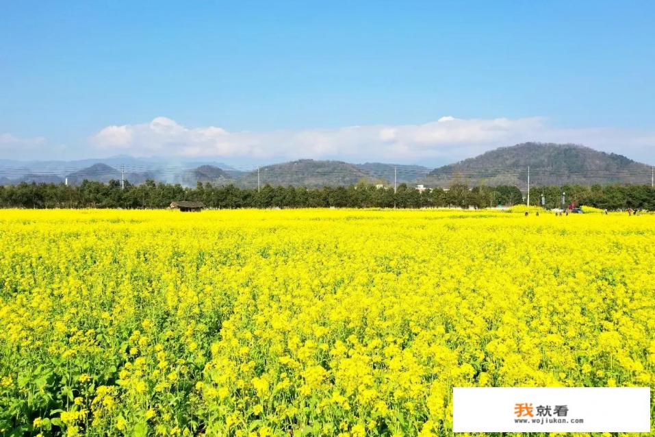 成都五一节自驾,两天打来回的地方好玩有推荐的吗? 成都五一节自驾,两天打来回的地方好玩有推荐的吗?