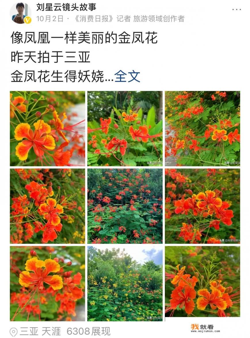 去海南旅游需要准备些什么必备用品？