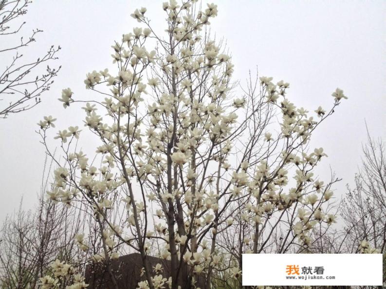 3月底去西安5日游需要带几套衣服? 3月底去西安5日游需要带几套衣服?