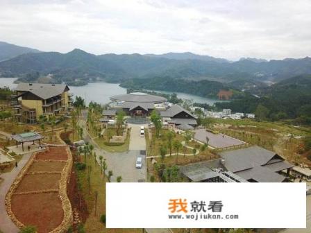 巴马县长寿村叫什么村？