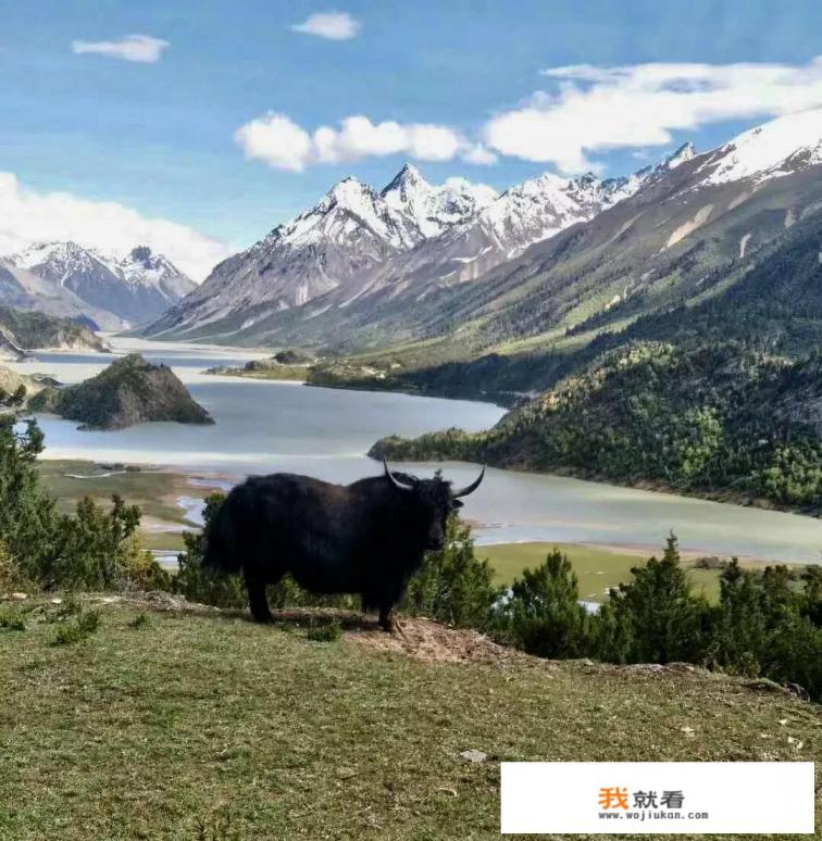 布达拉宫有多高?有什么人住在里面? 布达拉宫有多高?有什么人住在里面?