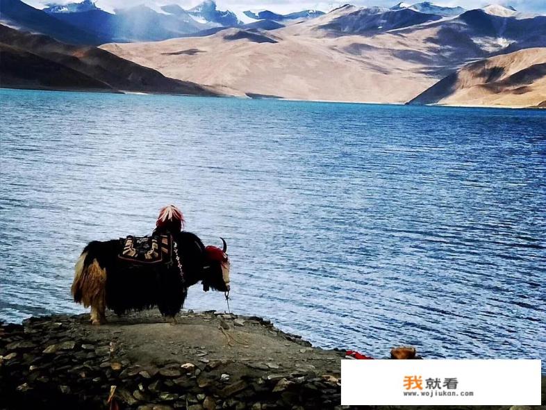 布达拉宫有多高?有什么人住在里面? 布达拉宫有多高?有什么人住在里面?