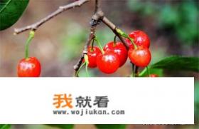 北方小樱桃学名? 北方小樱桃学名?