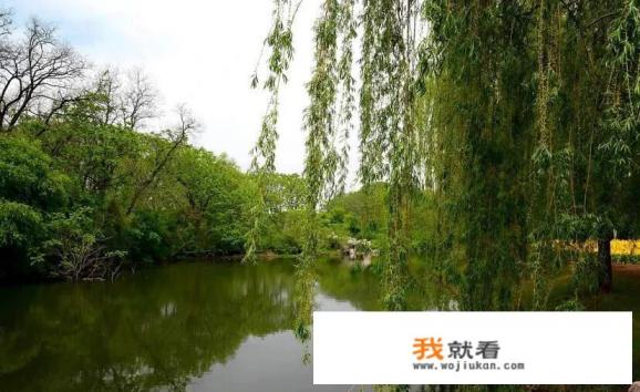 沈阳世博园门票60岁优惠吗? 沈阳世博园门票60岁优惠吗?