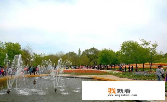 沈阳世博园门票60岁优惠吗? 沈阳世博园门票60岁优惠吗?