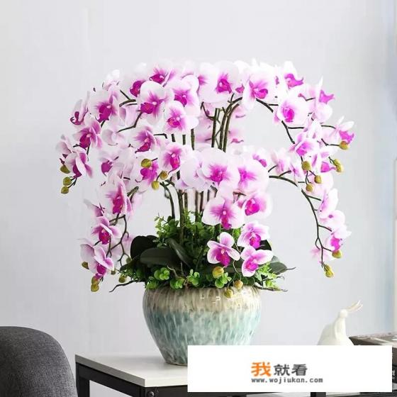 最香的兰花品种排名,什么品种兰花香味浓? 最香的兰花品种排名,什么品种兰花香味浓?