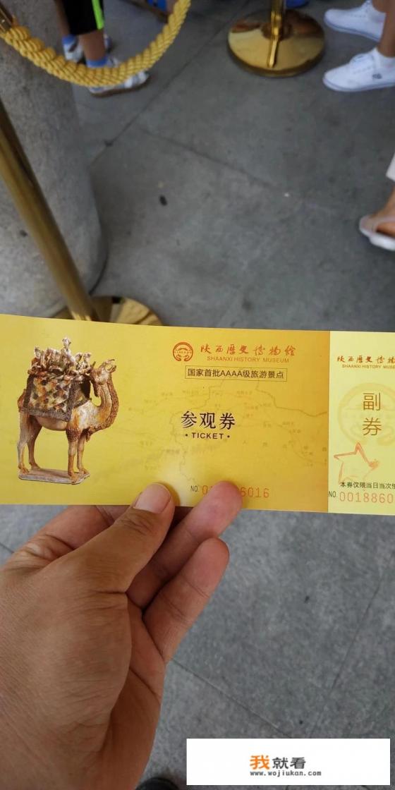 西安自然博物馆镇馆之宝？