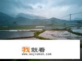 故乡的原风景是谁写的？