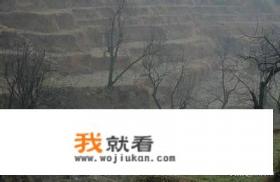 故乡的原风景是谁写的？