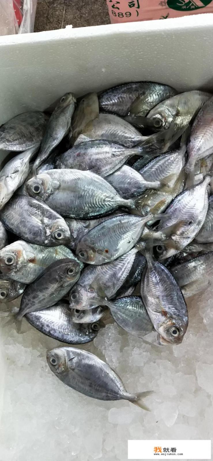 温州苍南现首例房卡式麻将手游赌博，房卡式棋牌游戏到冬天了吗？