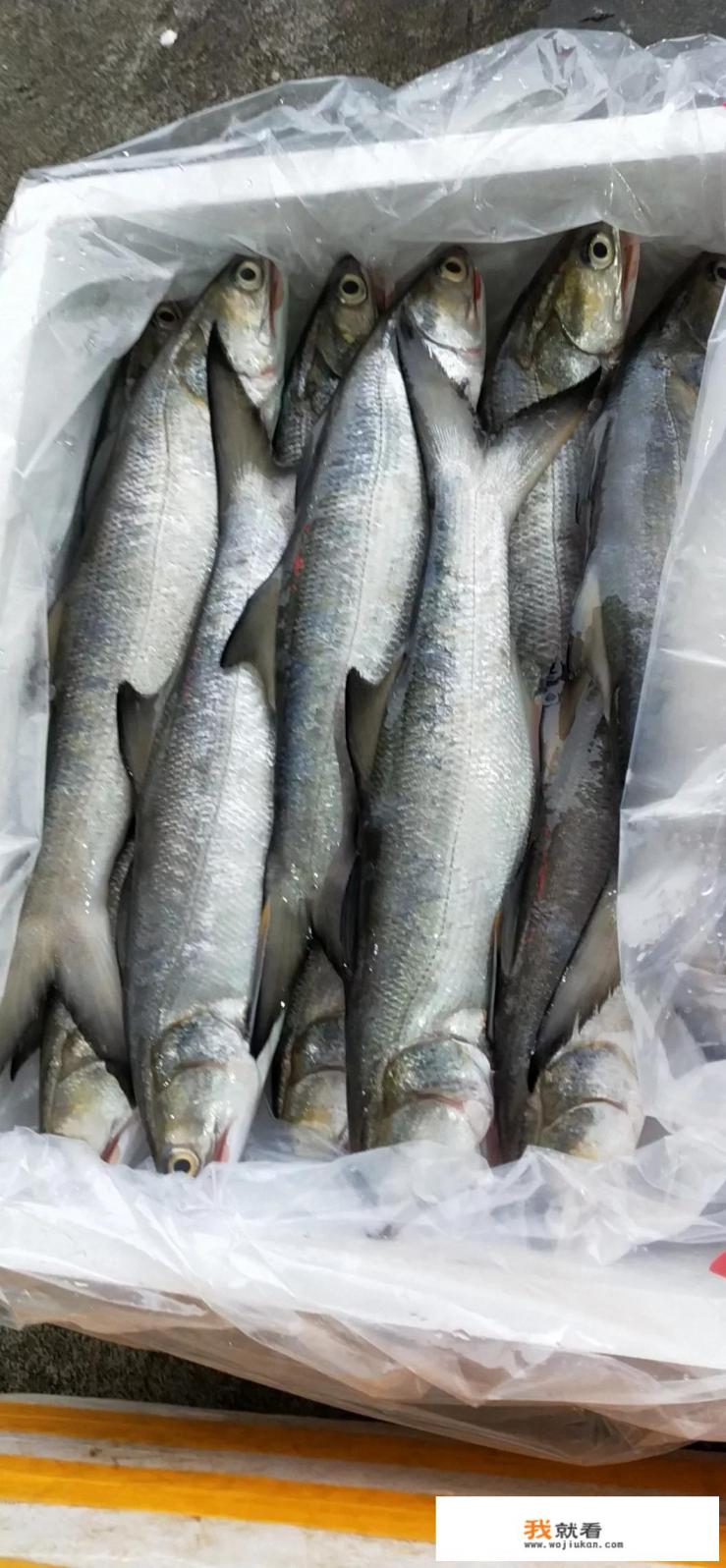 温州苍南现首例房卡式麻将手游赌博，房卡式棋牌游戏到冬天了吗？