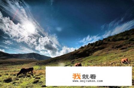 热血江湖登陆时显示目前登陆游戏人数过多时怎么办？