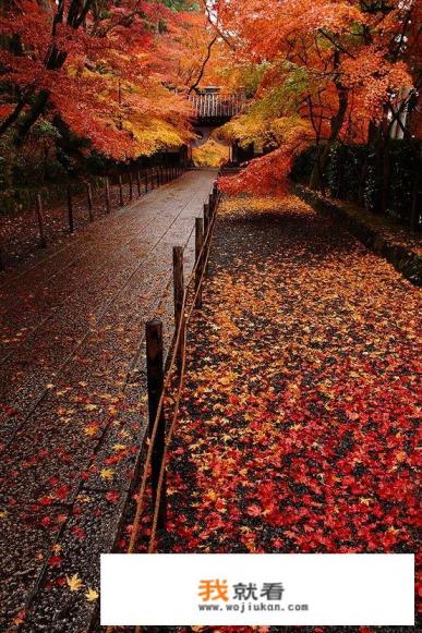 你们有没有过这样的苦恼?自家傻媳妇听信他人,手机下载趣步云集等有负面新闻的软件? 你们有没有过这样的苦恼?自家傻媳妇听信他人,手机下载趣步云集等有负面新闻的软件?