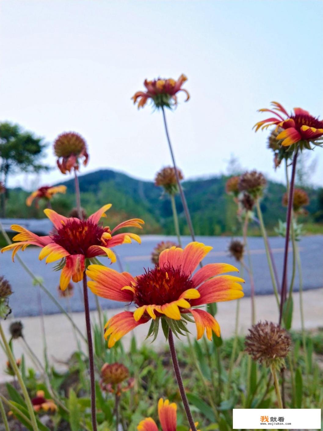 生活启示录什么时间拍摄的？