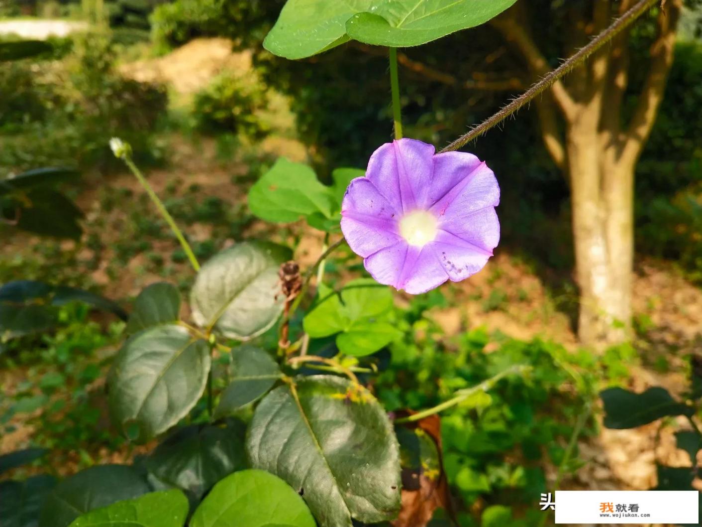 生活启示录什么时间拍摄的？