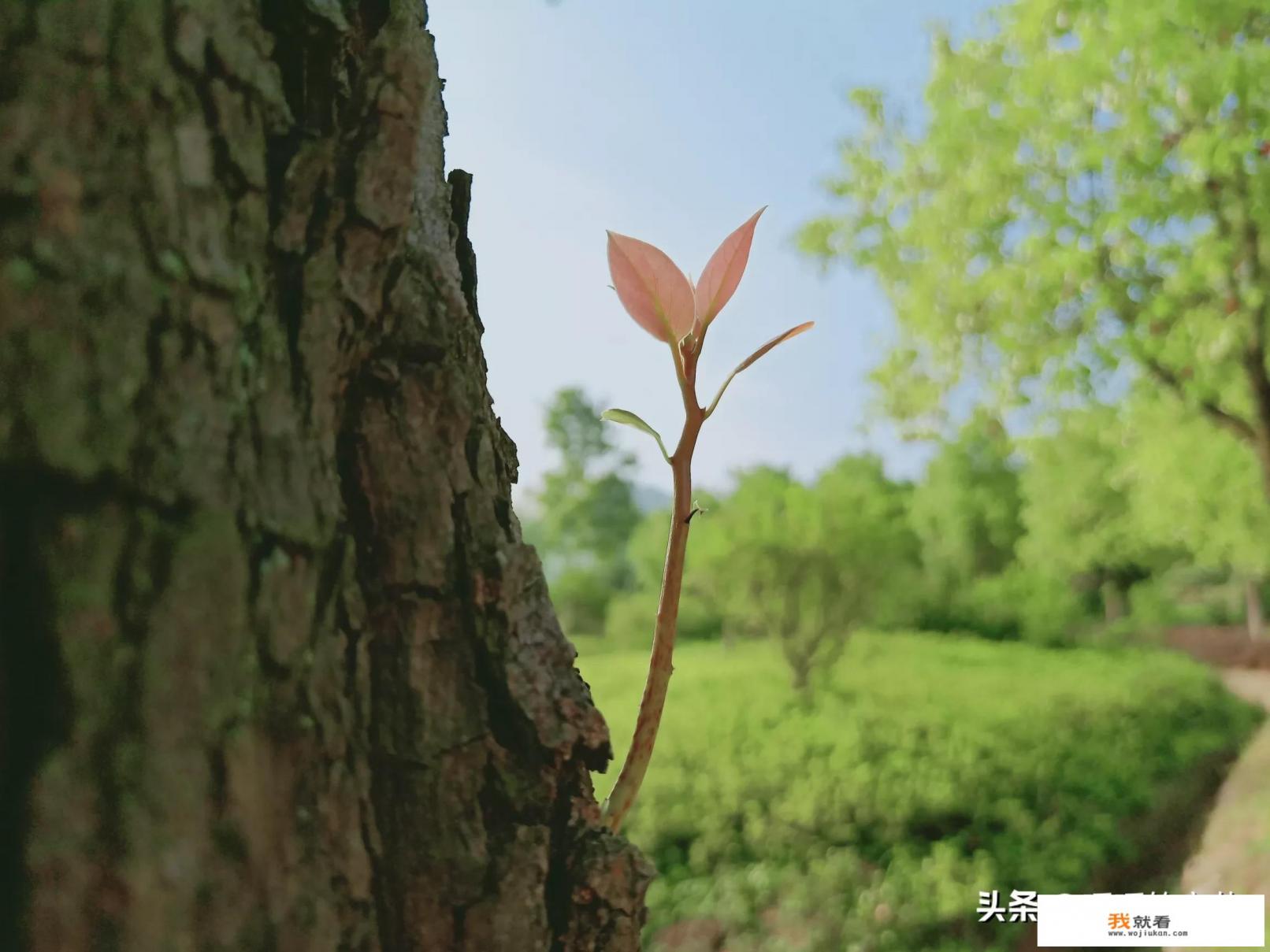 生活启示录什么时间拍摄的？