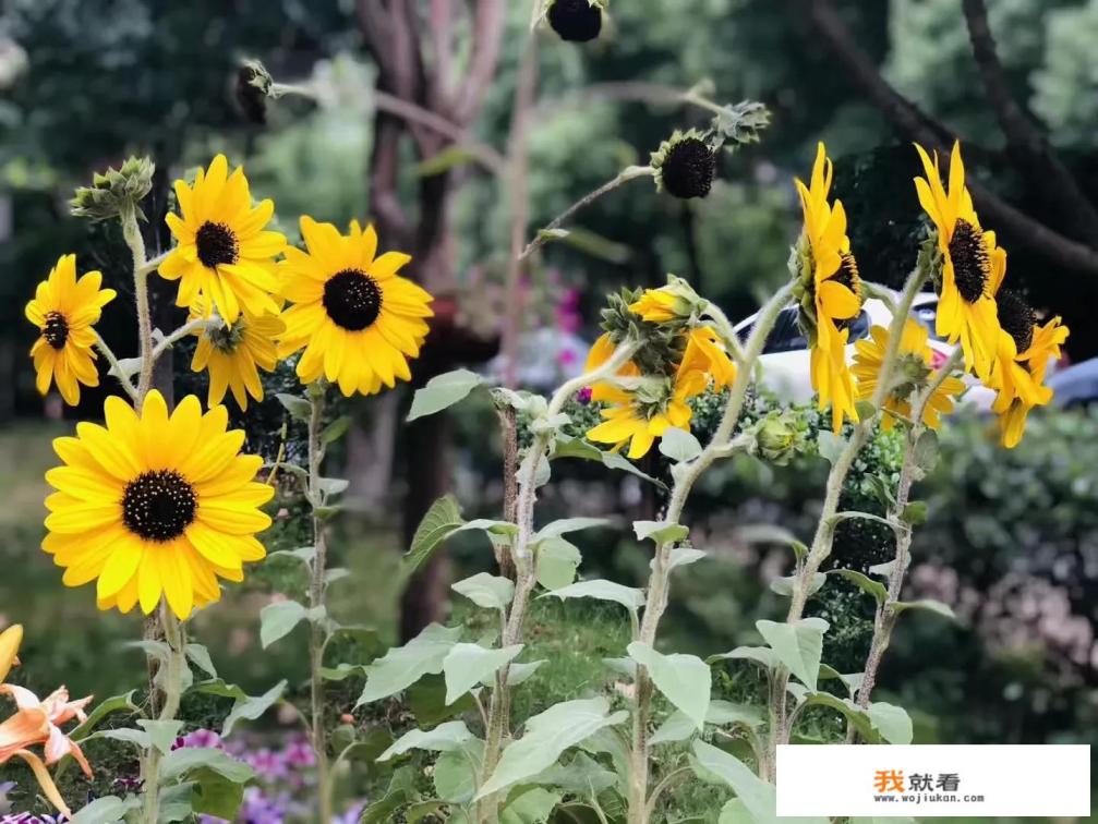 如果一个男生觉得你烦了,觉得你约束他喝酒,打游戏了,开始受不了你了,是不是不爱了? 如果一个男生觉得你烦了,觉得你约束他喝酒,打游戏了,开始受不了你了,是不是不爱了?