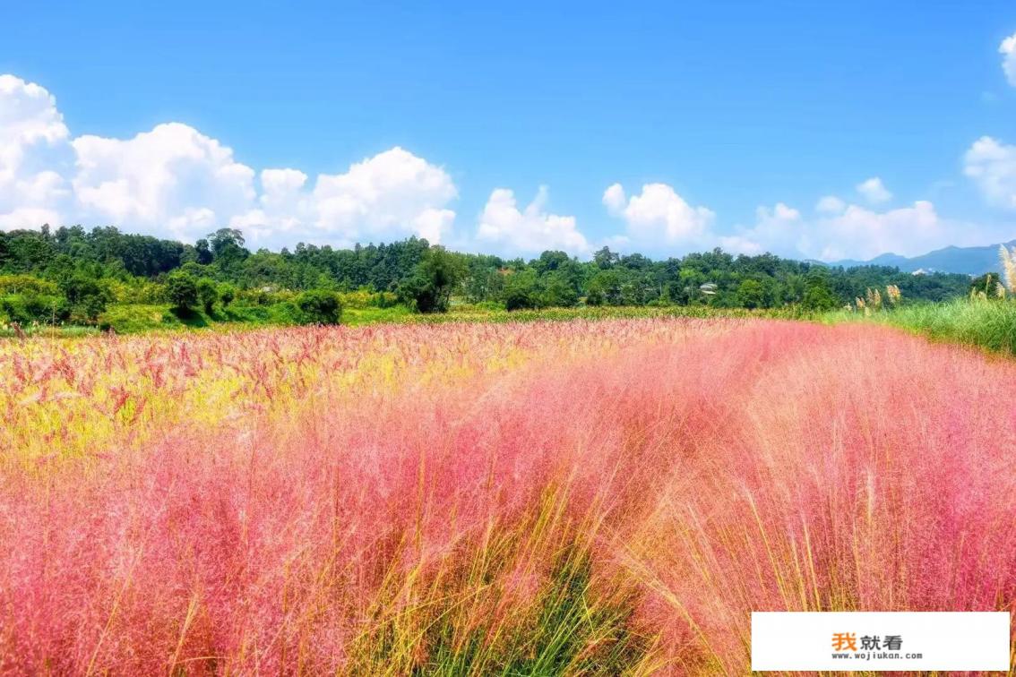 去云南腾冲，沪沽湖，普者黑，坝美，有什么好的攻略吗？