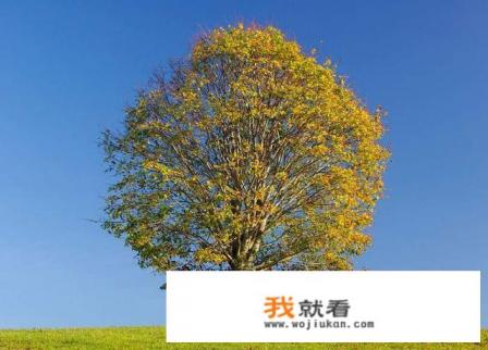 白色羽绒服洗完有大片的黄印怎么办？