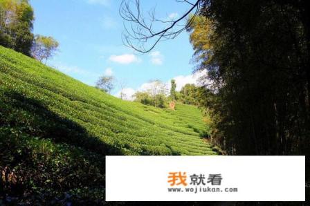 从上海出发去附近二日自驾游可以去哪些地方？