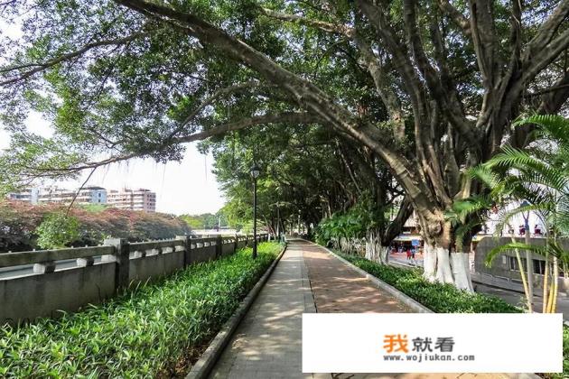 佳能PowerShotSX70HS，比入门级数码单反更好吗？