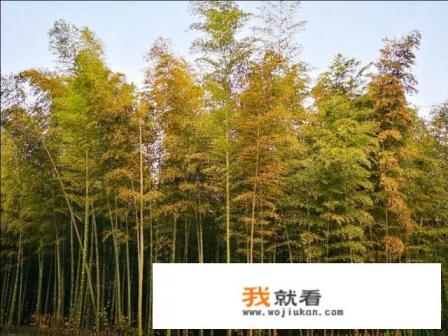 宜兴十大必去景点？