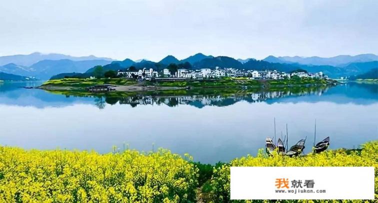 如何做好农业乡村旅游规划和开发？