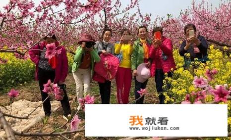 三月打算出去旅行，国内有什么好去处吗？