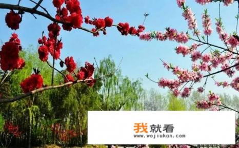 三月打算出去旅行，国内有什么好去处吗？