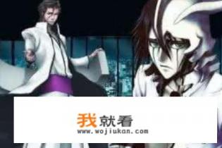 死神vs火影3.5夜一连招？