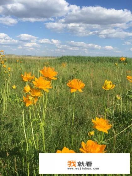 5月到6月适合去坝上草原吗? 5月到6月适合去坝上草原吗?