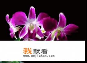 幼儿园家长发重阳节照片怎么回复？