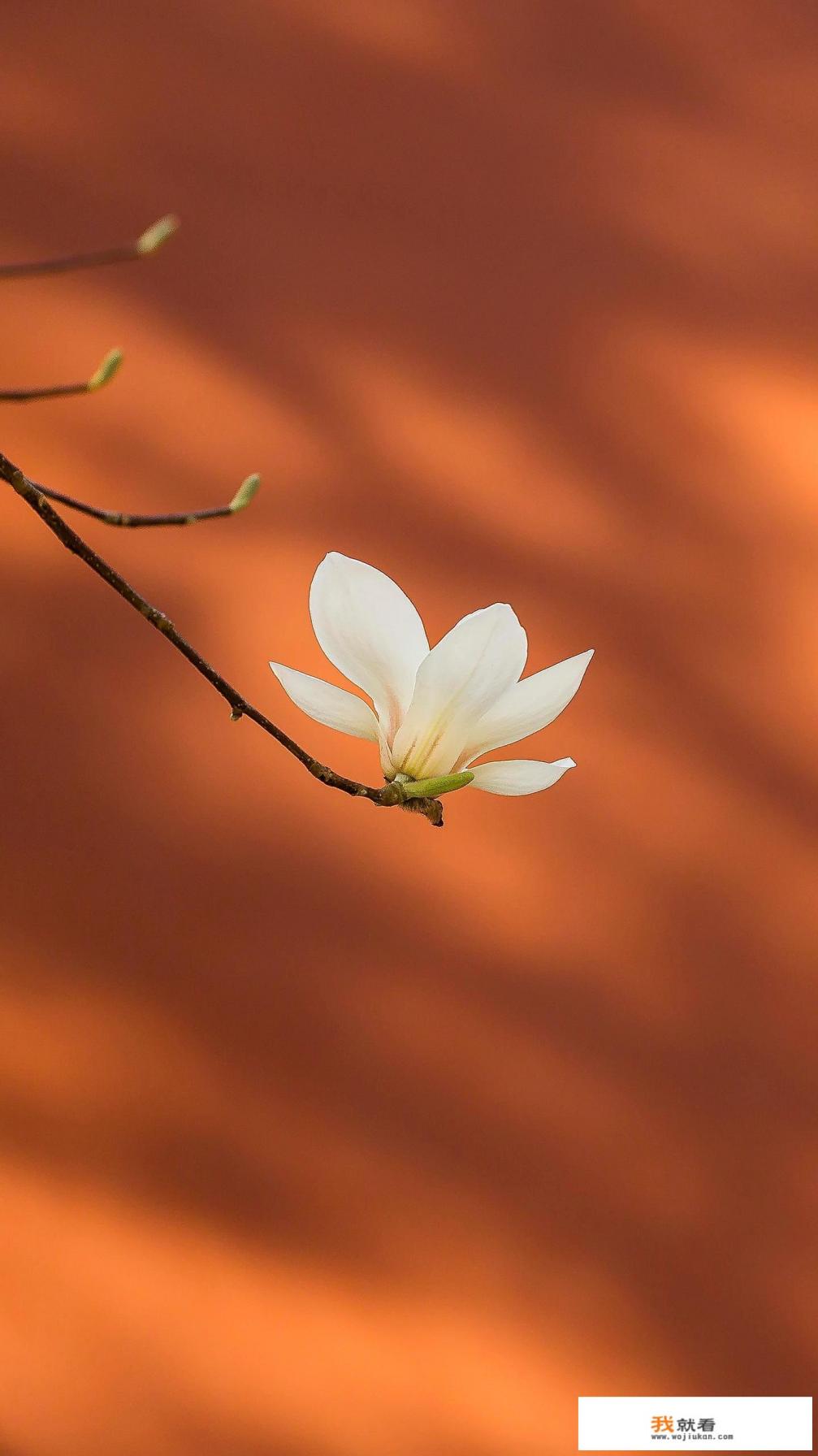 为什么初中的女生身体比小学的女生还要差? 为什么初中的女生身体比小学的女生还要差?