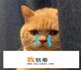 儿子迷恋游戏，父亲数次教育无果后，动粗算家暴吗？