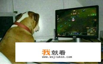 手游交易平台是骗子吗？