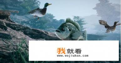 猜马匹游戏规则？