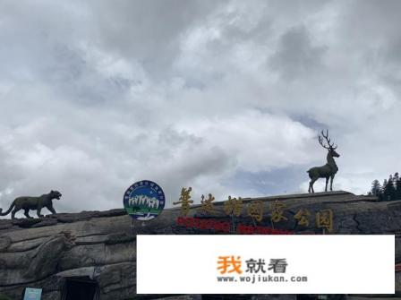 昆明11中高中怎么样? 昆明11中高中怎么样?