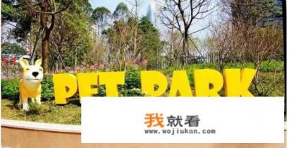 沙井到马峦山多少公里?自驾游? 沙井到马峦山多少公里?自驾游?