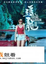 如何评价电影《追龙2》? 如何评价电影《追龙2》?