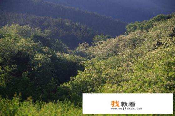 大连旅顺海岛哪个最好？