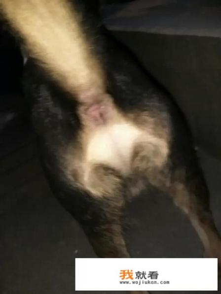 有什么搞笑的表情包推荐吗？